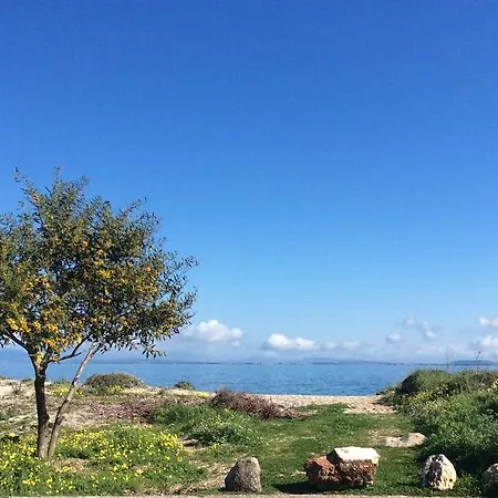 Lefkas Marine 아파트 *