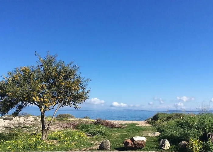 Lefkas Marine Διαμέρισμα *